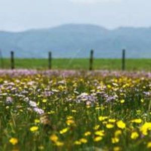 Meet your Posher, Keith